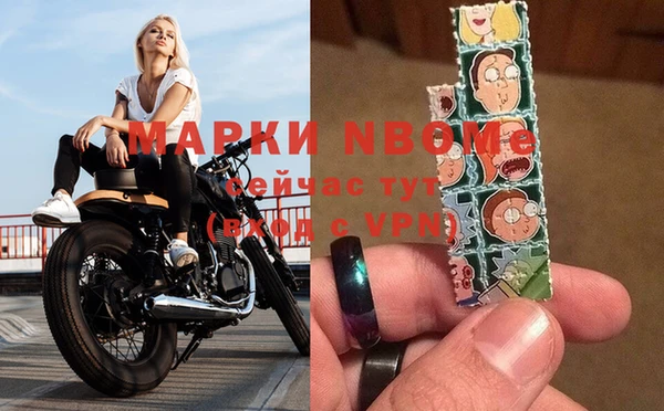 крисы Зеленокумск