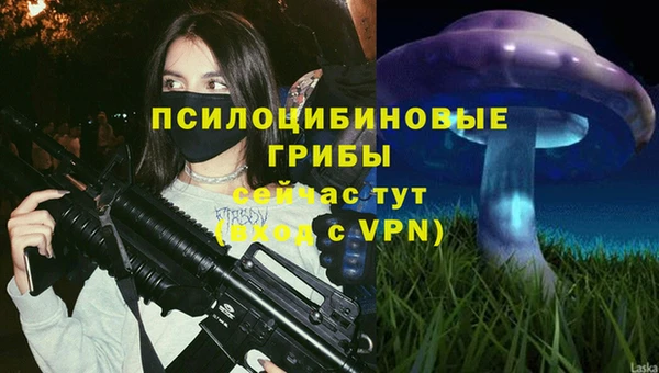 не бодяженный Зеленодольск