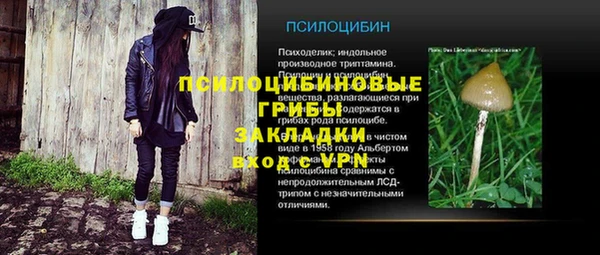 крисы Зеленокумск