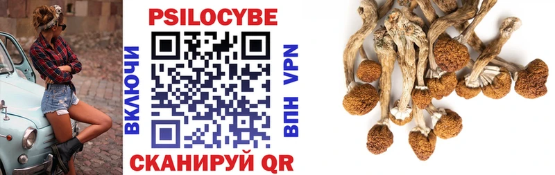 Псилоцибиновые грибы Psilocybine cubensis  Купить закладки  Междуреченск 